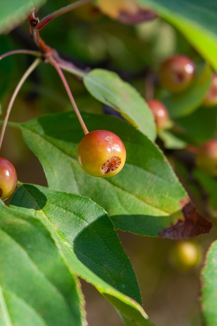 背后复杂的 背后复杂的
