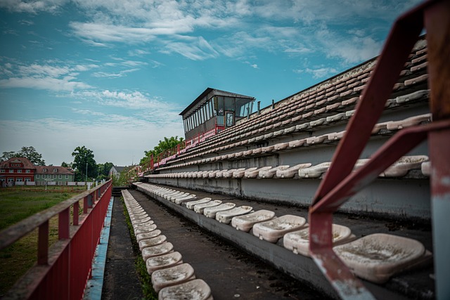 杯国脚的决 杯国脚的决