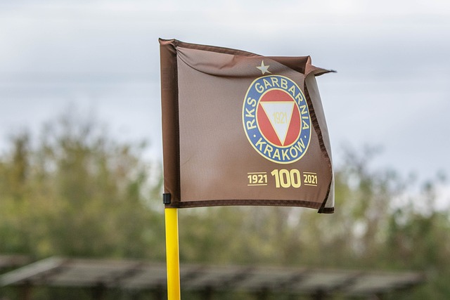 规划注入新 规划注入新