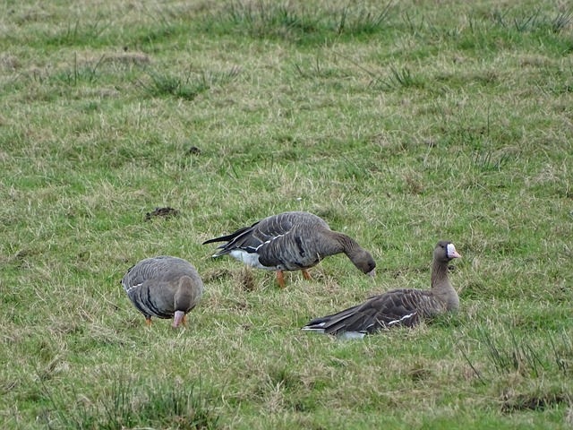 技领域展现 技领域展现