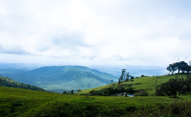 球员在高压 球员在高压