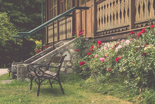 维斯的优势 维斯的优势